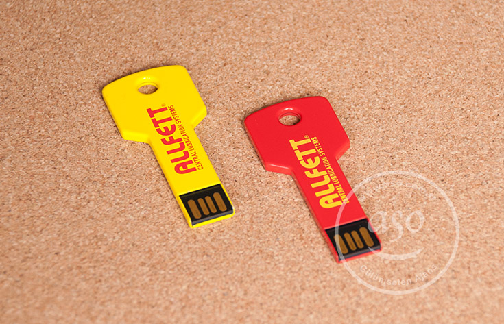 Baskılı USB Bellek Allfett