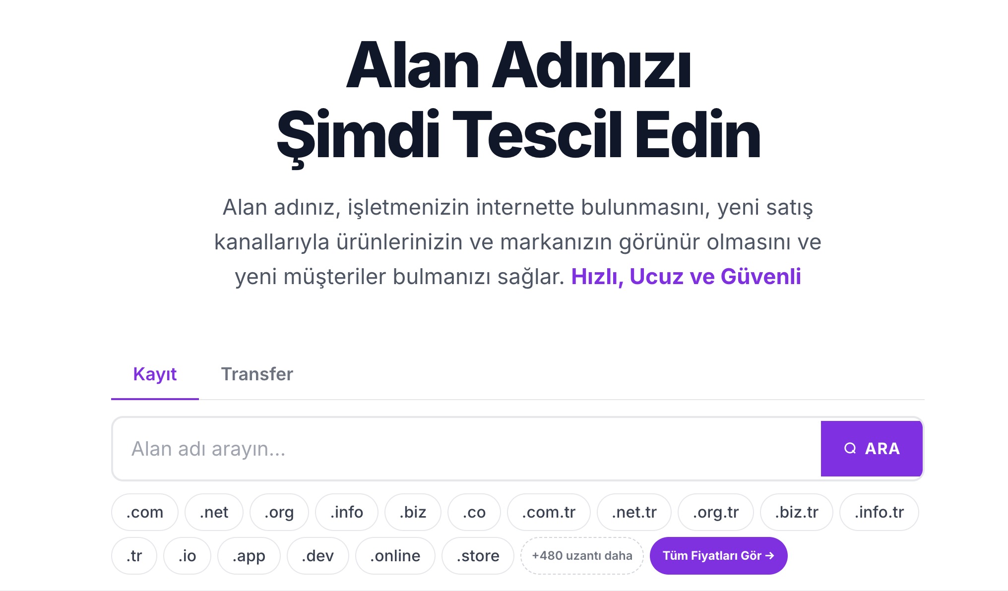 Domain Nereden Alınır? En İyi Alan Adı Kayıt Rehberi
