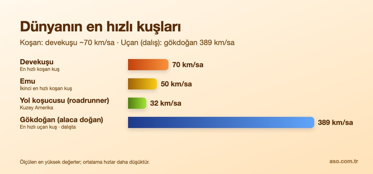 Dünyanın en hızlı kuşları: devekuşu 70 km/sa, gökdoğan 389 km/sa
