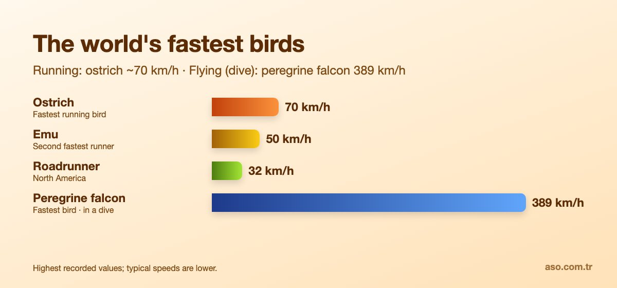The world's fastest birds compared